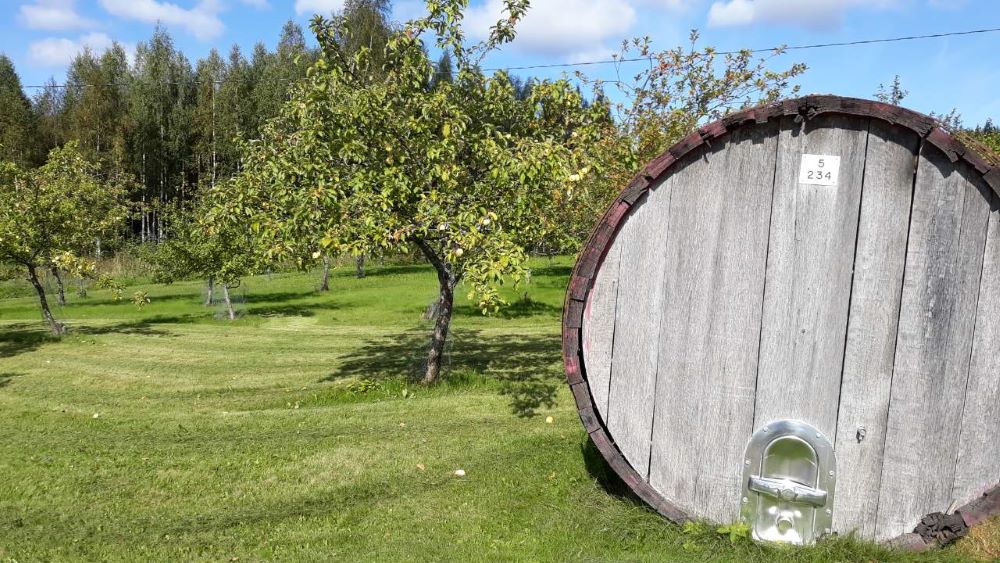 Anttolassa sijaitseva Ollinmäen viinitila jalostaa tilan omat marjat ja hedelmät viineiksi ja likööreiksi.
