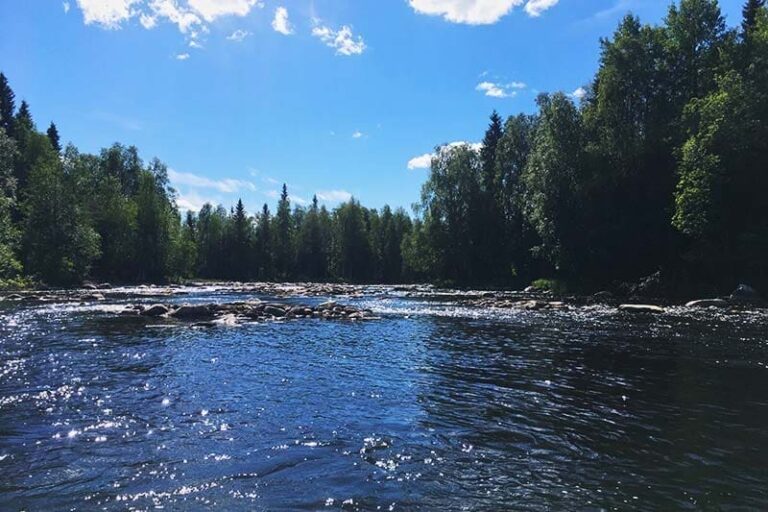 Harvinaista herkkua: Taivalkoskella avataan 35-kilometrinen kalastuskohde